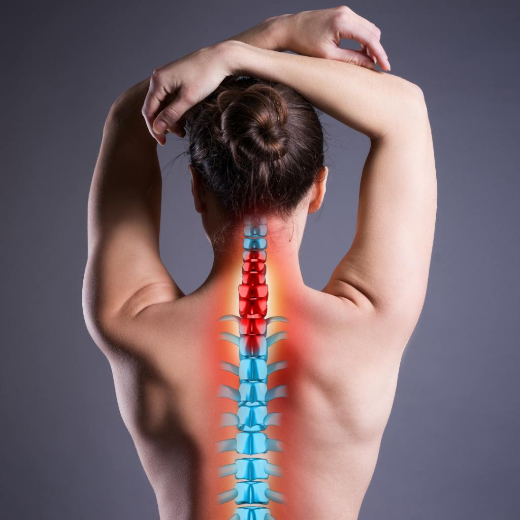 calgary chiropractors; spine diagram